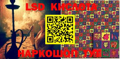 крисы Баксан