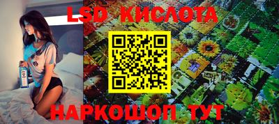apvp Ачхой-Мартан