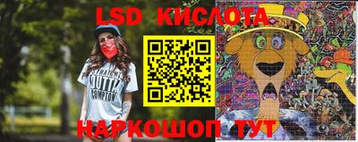 крисы Баксан