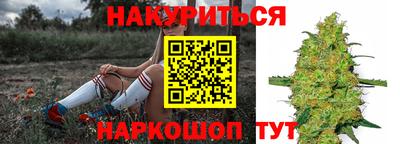 крисы Баксан