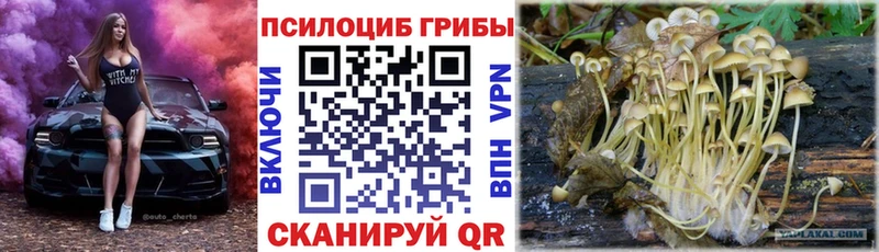 Псилоцибиновые грибы MAGIC MUSHROOMS  продажа наркотиков  Шарыпово 