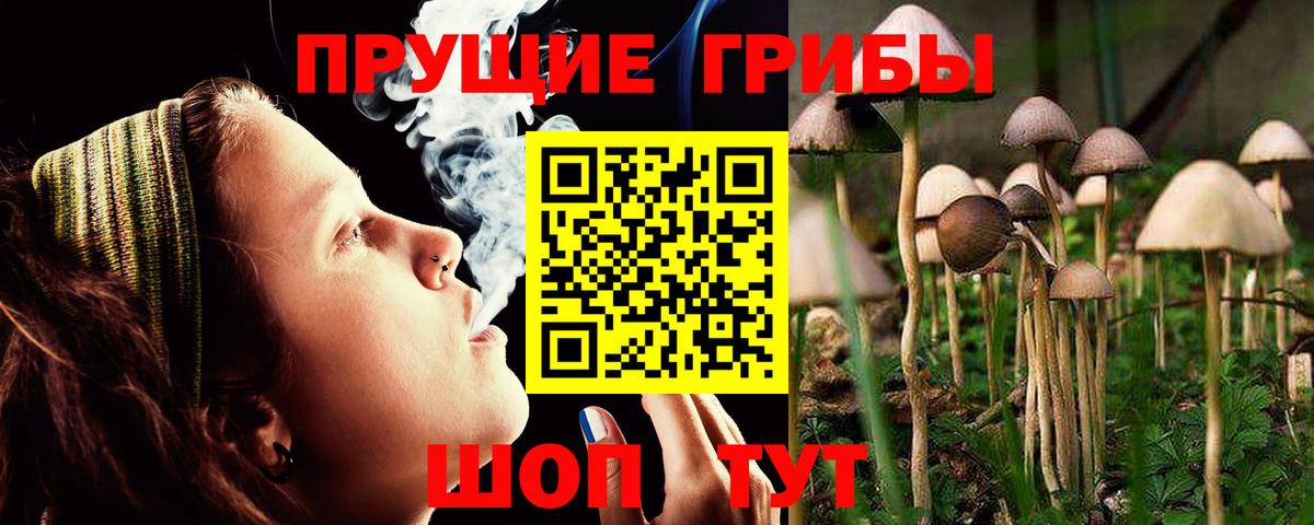 Галлюциногенные грибы Magic Shrooms Шарыпово