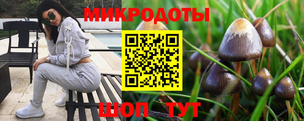 Галлюциногенные грибы ЛСД  Вход с VPN  Шарыпово 