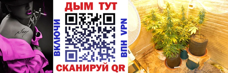 гидра ТОР  где купить наркотик  Шарыпово  мориарти клад  Шишки марихуана Ganja 